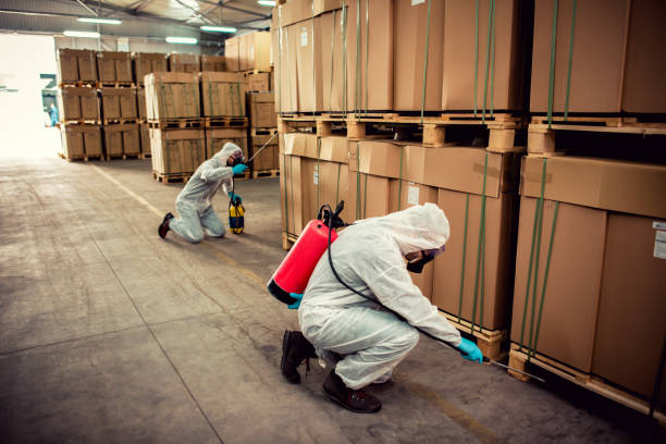 Best Flea Control Services  in Nooksack, WA