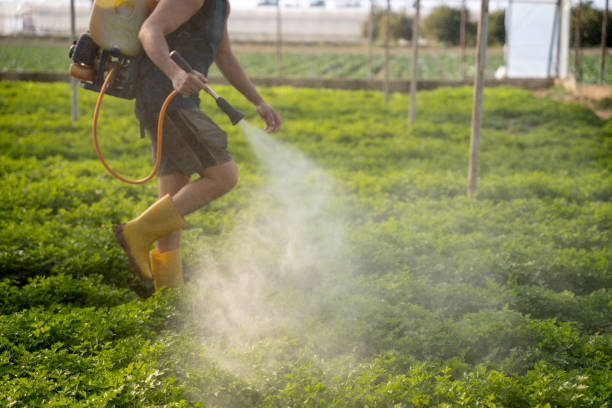 Nooksack, WA Pest Control Company
