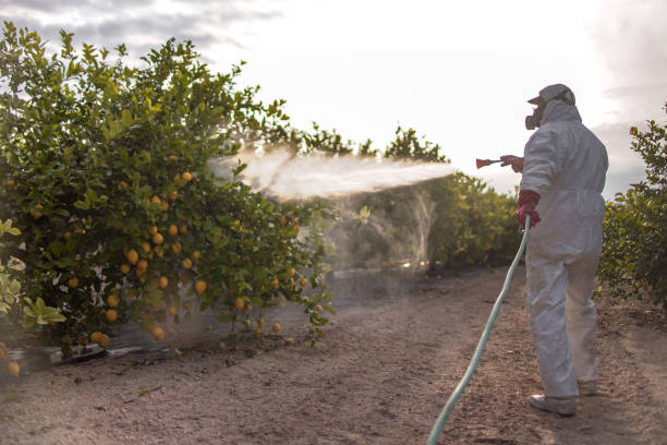 Pest Control for Restaurants in Nooksack, WA