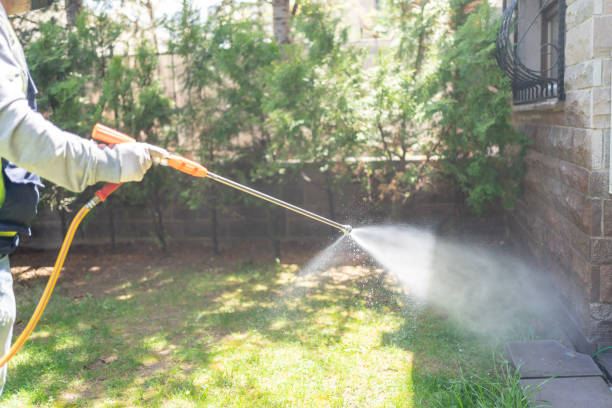Best Wasp Removal Services  in Nooksack, WA