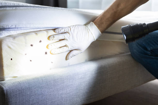 Best Affordable Pest Control Services  in Nooksack, WA