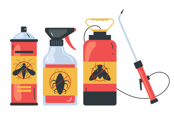 Best Termite Control Services  in Nooksack, WA