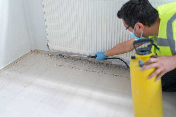 Best Pest Control Cost  in Nooksack, WA