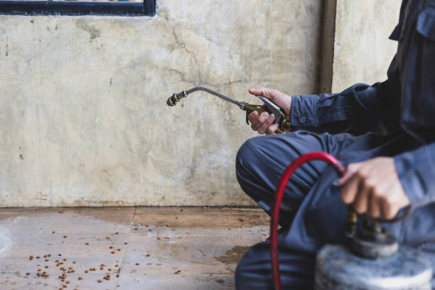 Best Affordable Pest Control Services  in Nooksack, WA