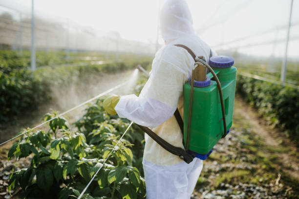 Best Mosquito Control Services  in Nooksack, WA